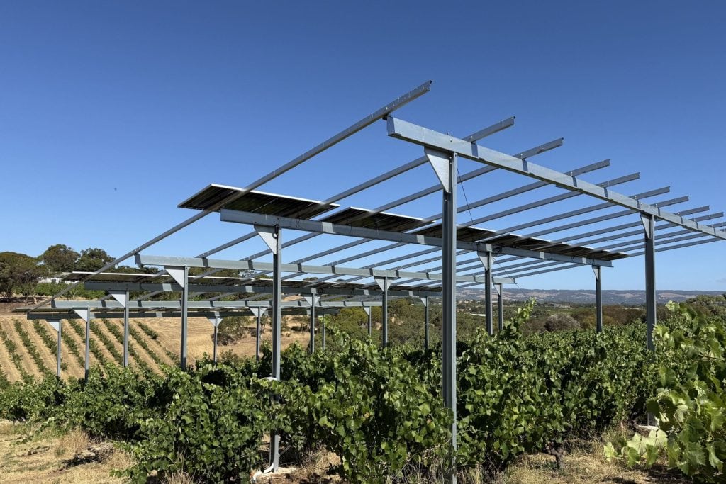 Image 1 Vitivoltaics Pilot Project with Paxton Wines Image 1 Vitivoltaics Pilot Project with Paxton Wines