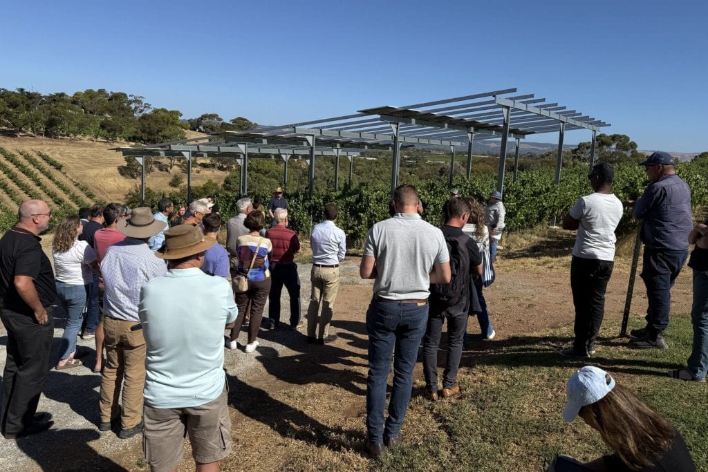 Image 2 Vitivoltaics Pilot Project with Paxton Wines Image 2 Vitivoltaics Pilot Project with Paxton Wines