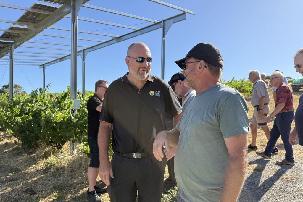 Image 3 Vitivoltaics Pilot Project with Paxton Wines Image 3 Vitivoltaics Pilot Project with Paxton Wines