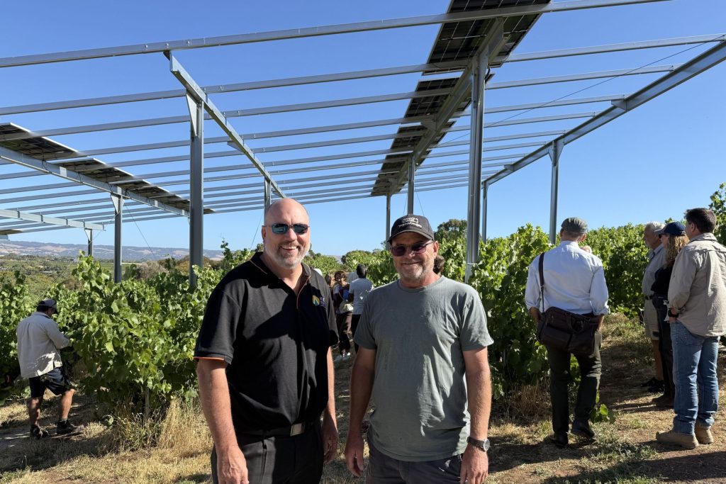 Image 4 Vitivoltaics Pilot Project with Paxton Wines Image 4 Vitivoltaics Pilot Project with Paxton Wines