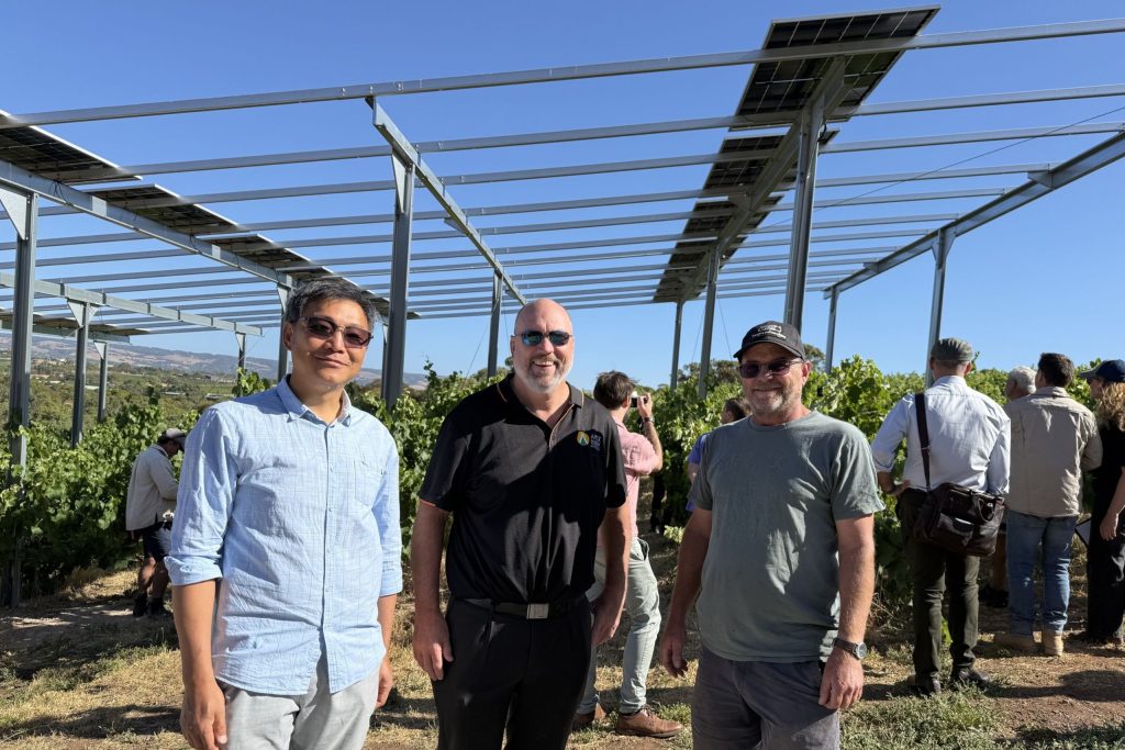 Image 6 Vitivoltaics Pilot Project with Paxton Wines Image 6 Vitivoltaics Pilot Project with Paxton Wines