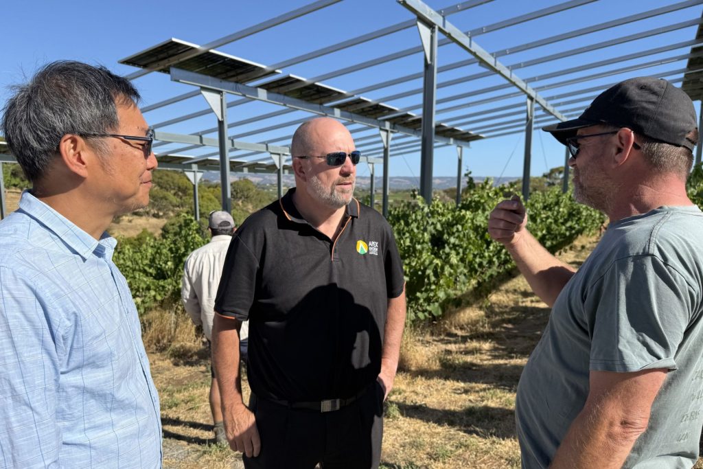 6 Vitivoltaics Pilot Project with Paxton Wines